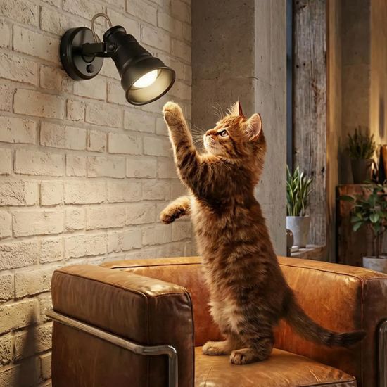 CL541511 Бейкер Черный Св-к Наст.-Потол