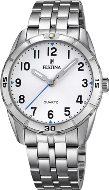 Наручные часы Festina F16907/1