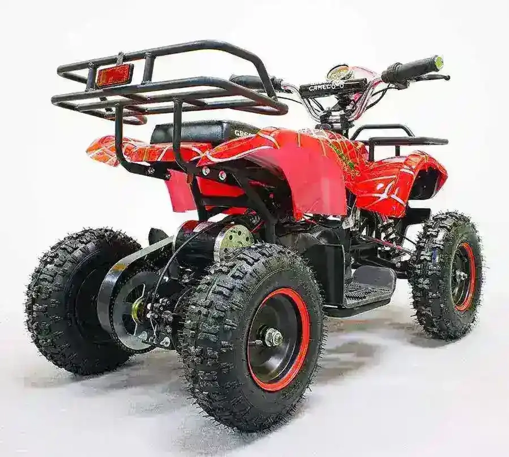 Электроквадроцикл Green Camel Гоби K21 (36V 800W R6 Цепной привод)