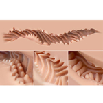 Мастурбатор-полуторс Naked Factory Kate (Цвет: телесный)