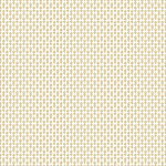 Rifle Paper Co. Second Edition