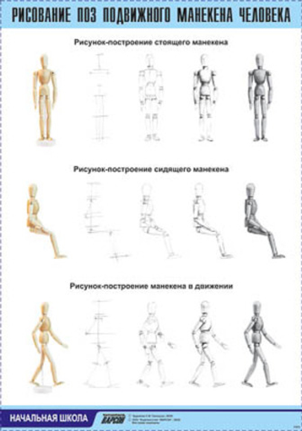 Таблица демонстрационная "Рисование поз подвижного манекена человека"