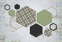 Коллекция Forma