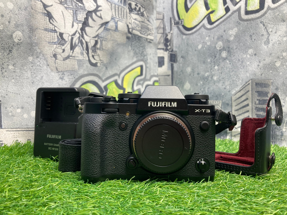 FujiFilm X-T3 (2.700 кадров)