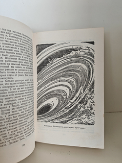 Золотой жук. Странные шаги