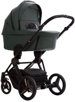 Детская коляска Bebetto Monti Pro 2 в 1 02 Stella т.зеленая кожа