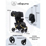 Прогулочная коляска Baballo черный/золотая рама