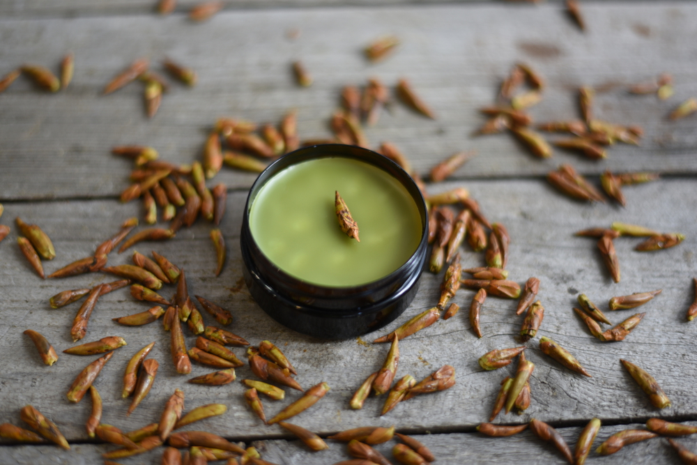 Тополиные почки, заживляющий бальзам