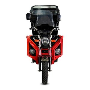 Грузовой электрический трицикл WHITE SIBERIA SIBTRIKE CARGO 1.6 2000W (60V/55Ah) фото №5