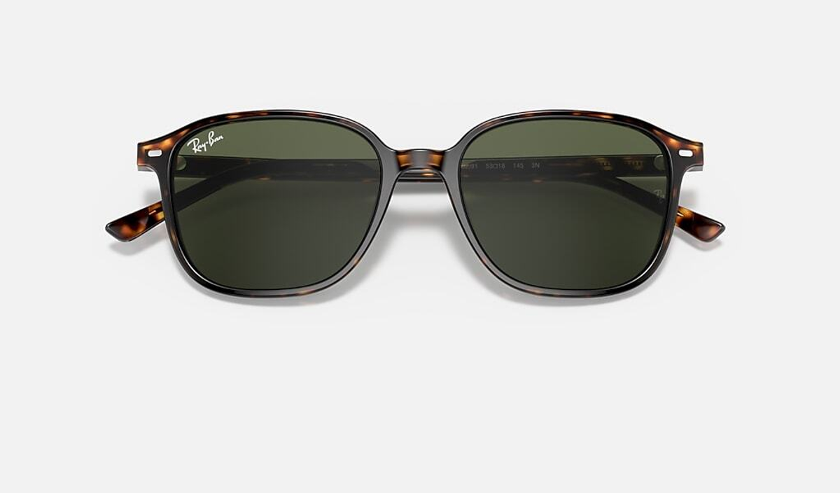 RAY-BAN LEONARD RB2193 902/31