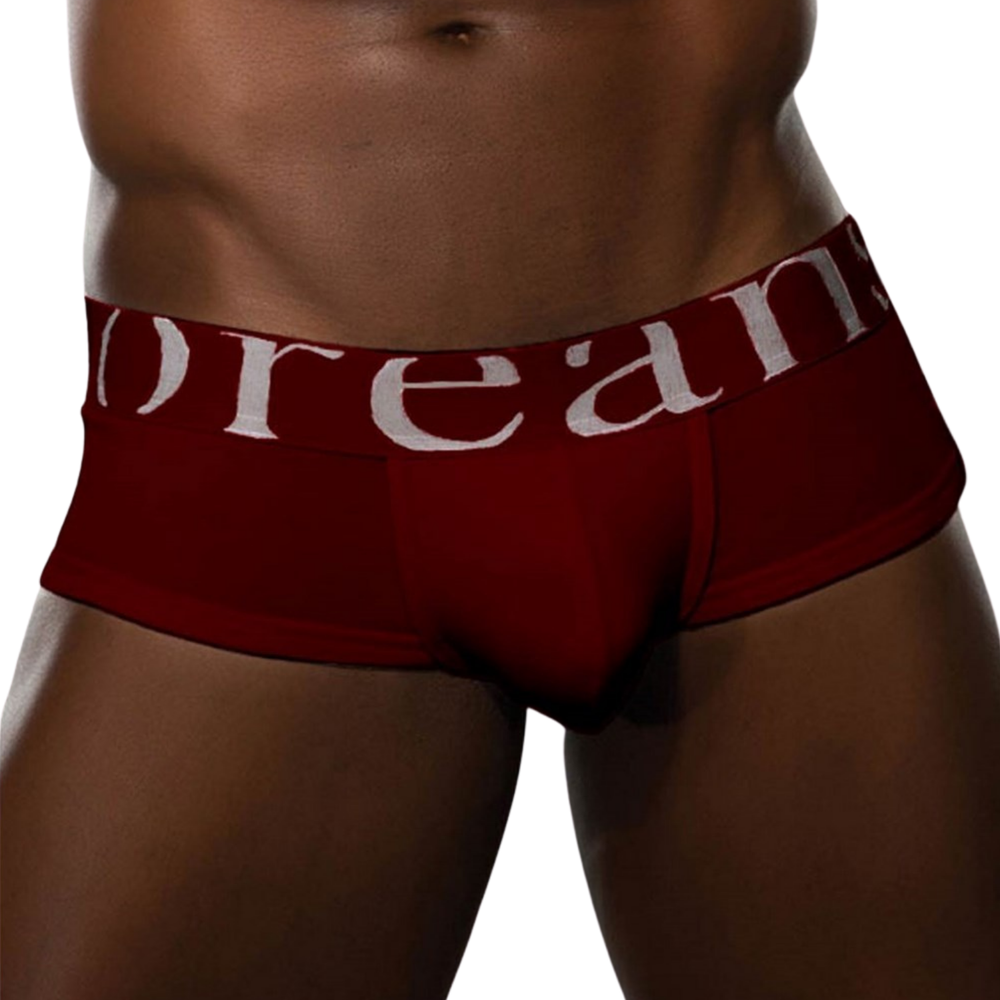 Мужские трусы брифы бордовые Doreanse 1779