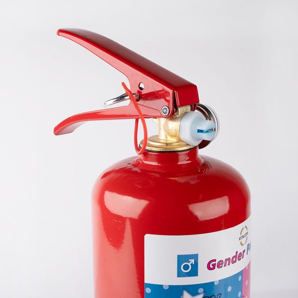 Огнетушитель с Краской Холи, Гендер Пати, Розовый, 2 л.