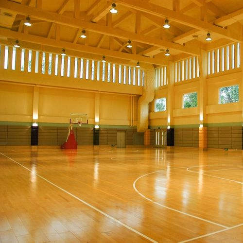 Спортивные объекты