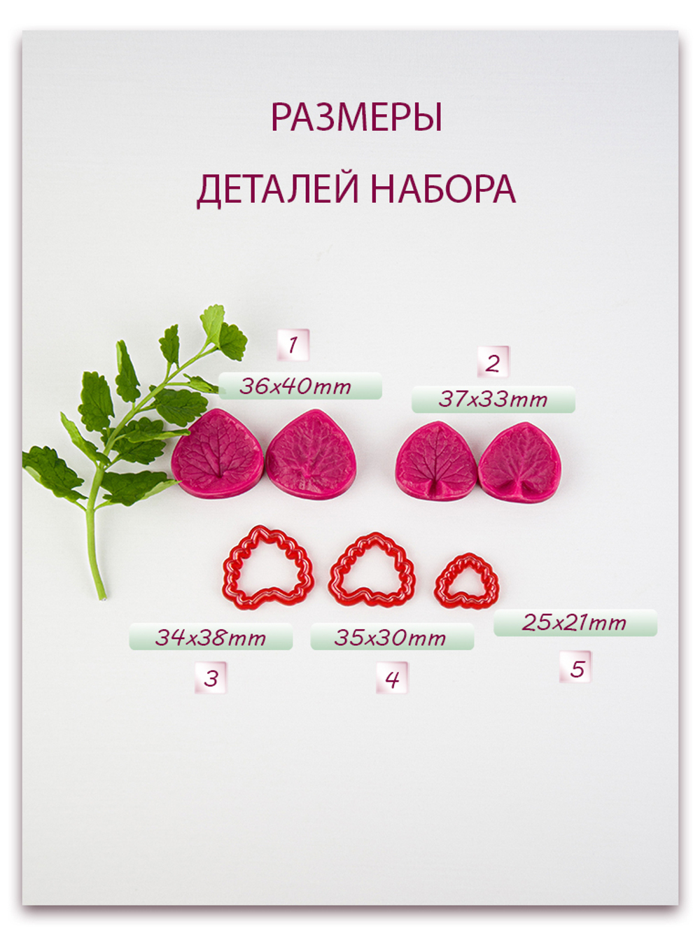 Мелисса. Сорт 2. Набор малый