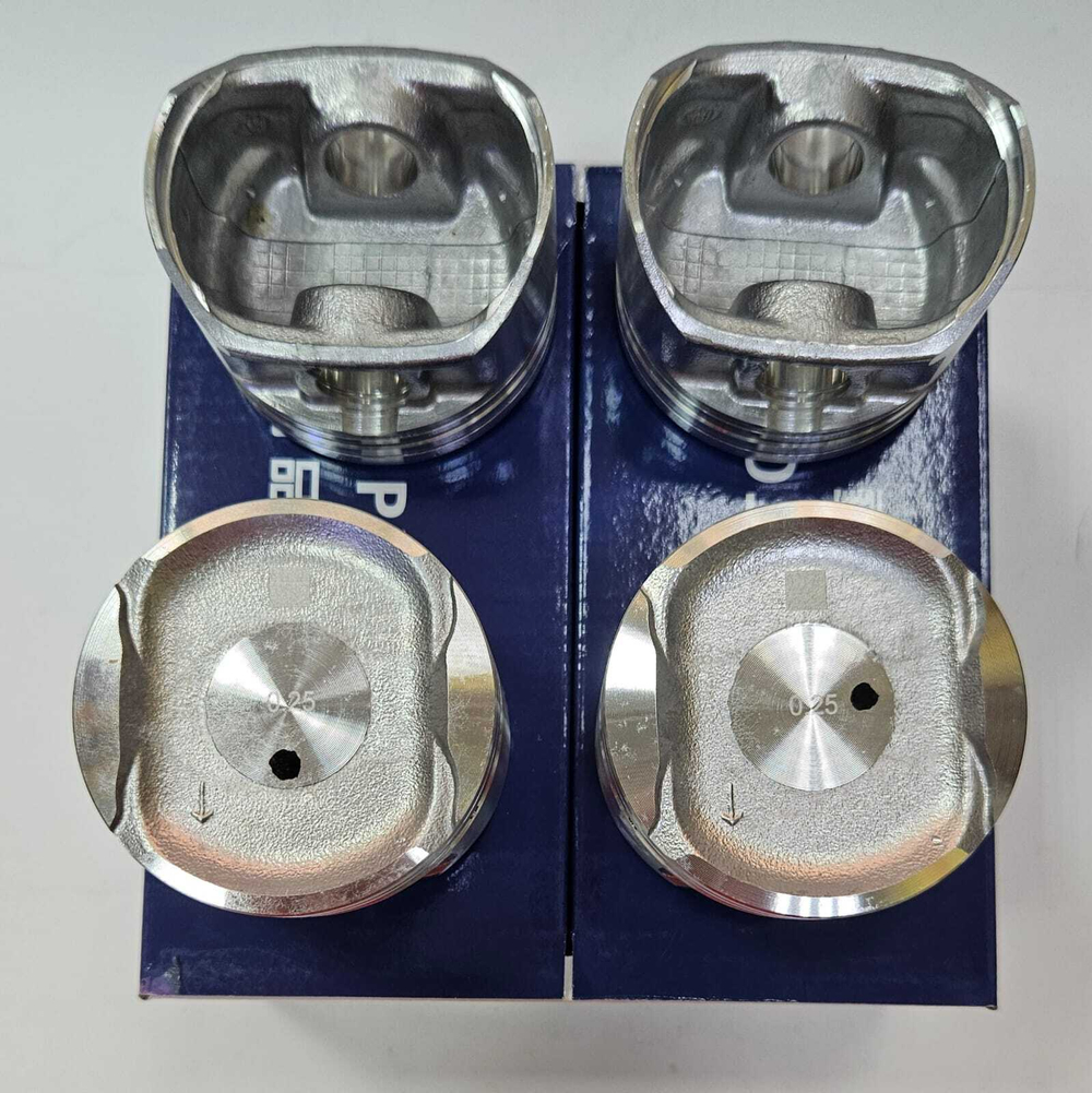 Поршни с кольцами Fine Piston +0.25 B12D1