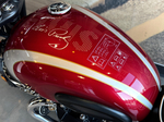 Triumph Boneville T120 Elvis Presley