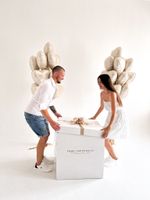 Воздушные шары №8388