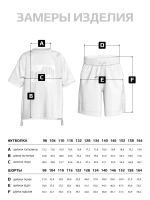 Спортивный костюм для мальчика с шортами школьный