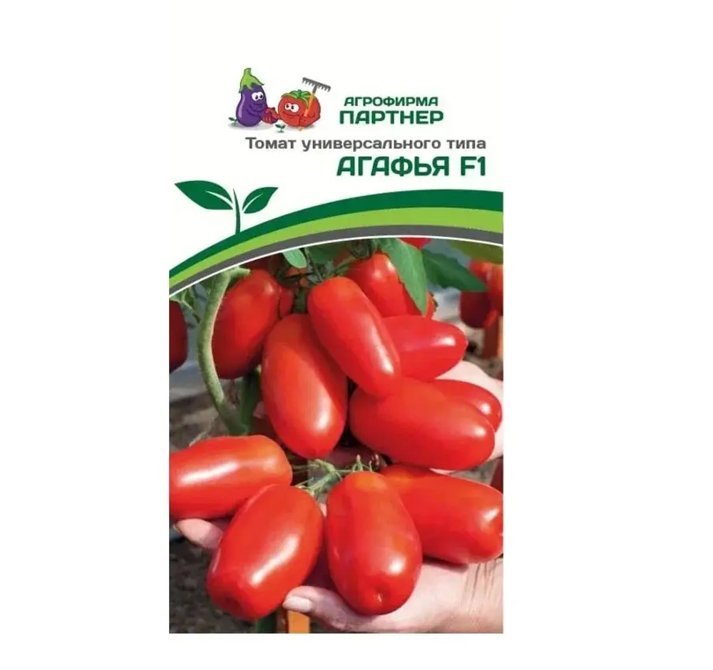 Томат Агафья