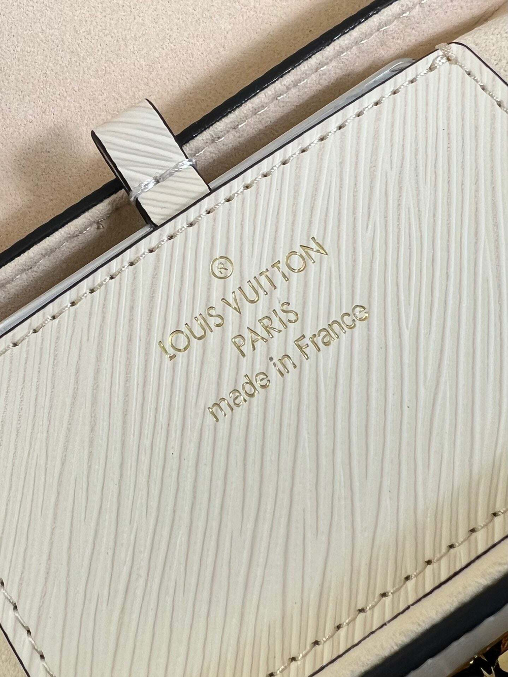 Louis Vuitton Twist PM