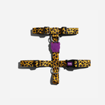 Шлейка HONEY Zee.Dog