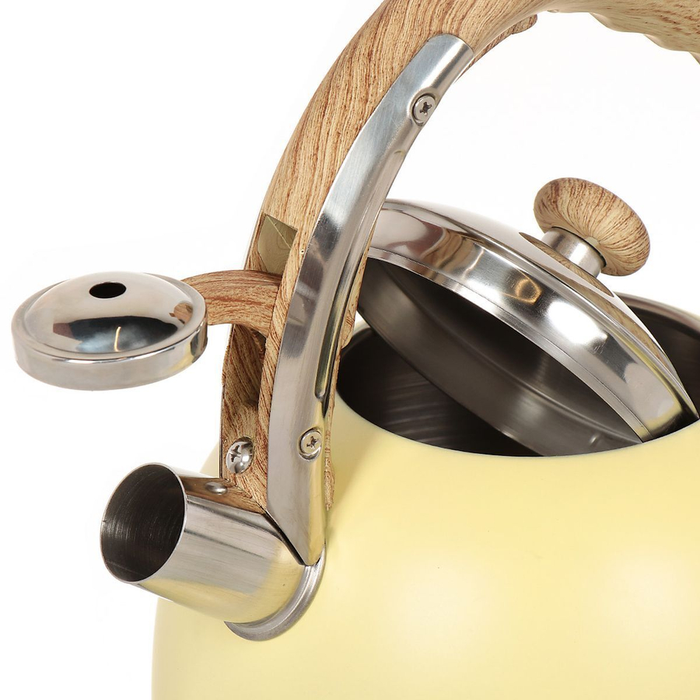 Чайник нерж, 3 л, свист, ручк бакелит, Daniks, жел, MSY-331C