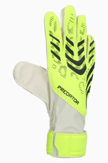 Вратарские перчатки adidas Predator Training - зеленый