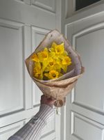 Кулек из нарциссов