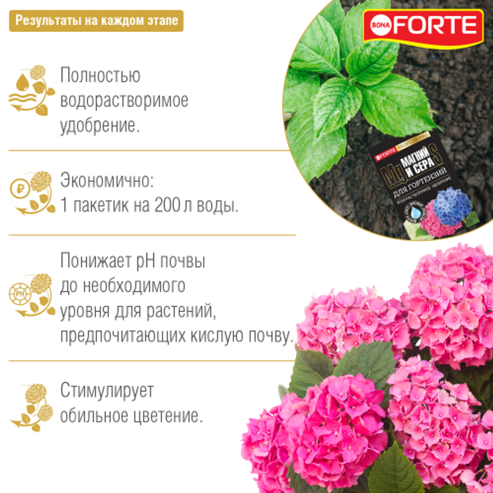 Удобрение BONA FORTE Для гортензий и кислотолюбивых растений с СЕРОЙ и МАГНИЕМ, водорастворимое, 100 г
