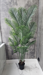 Пальма Хамедорея 160 см без кашпо / Арт 3092