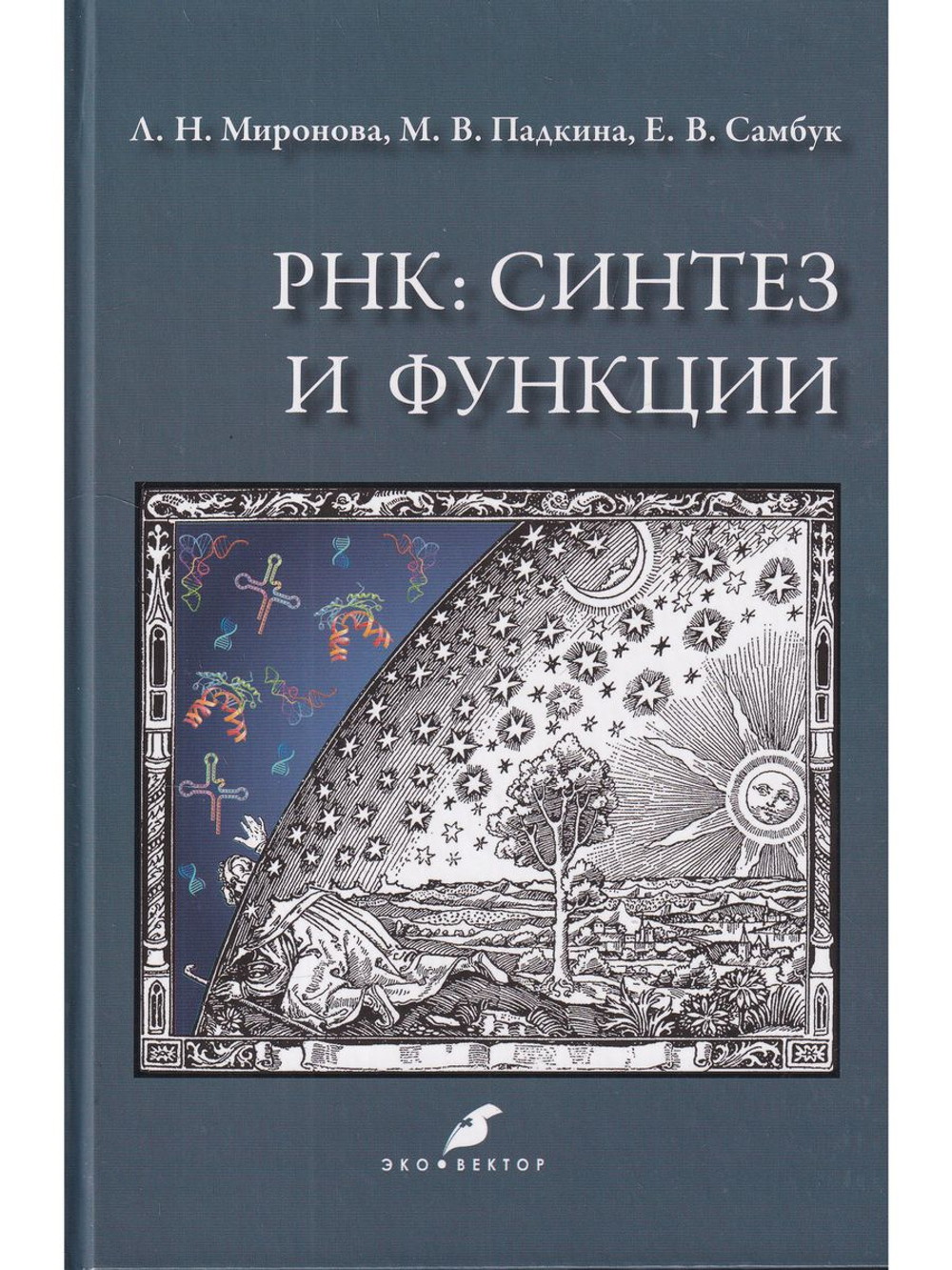 РНК: синтез и функции