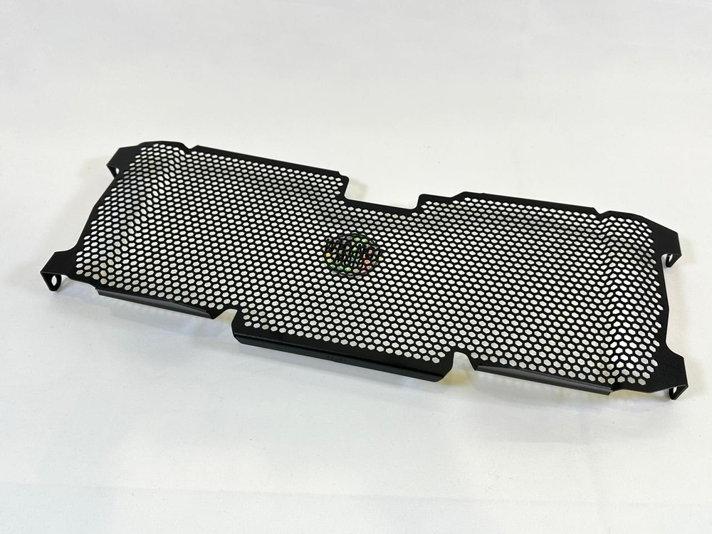 Evotech Performance Защитная сетка радиатора BMW R 1250 R PRN012256