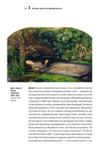 Циничное искусствоведение