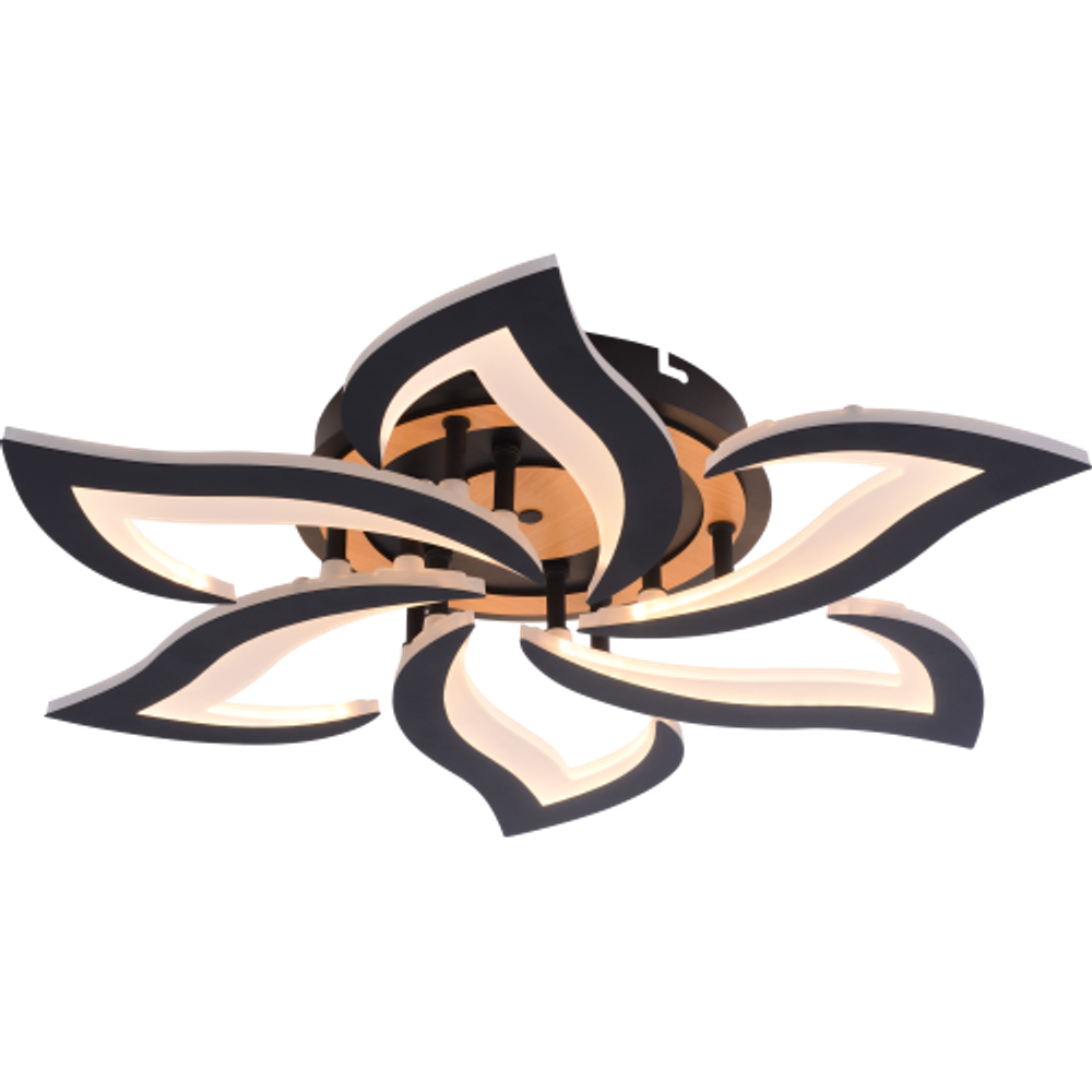 Светильник потолочный светодиодный Rivoli Cassandra 6194-733 LED 3000-6250К 84 Вт с пультом | Rivoli