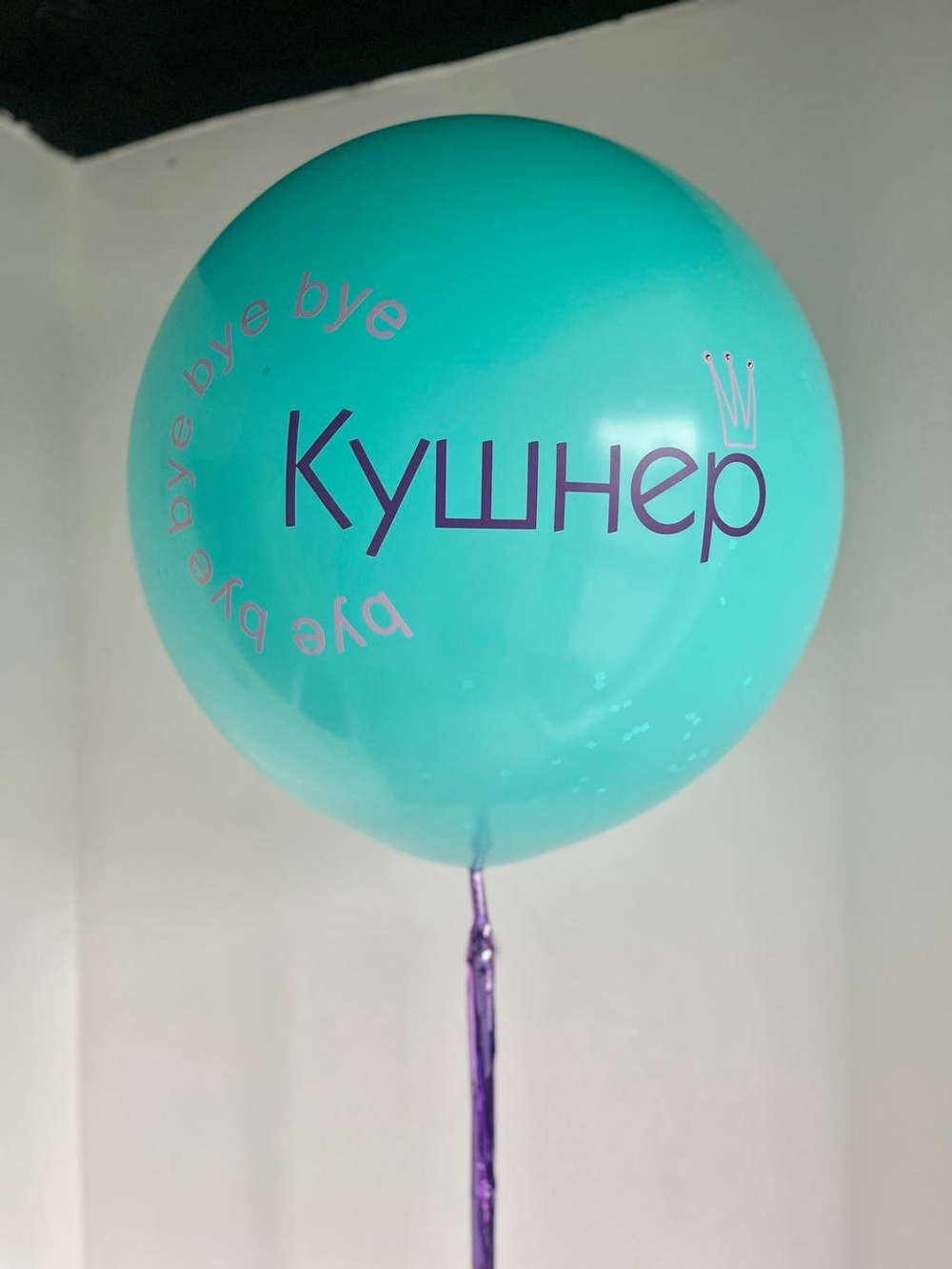 Шар с фамилией на девичник №1220