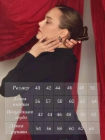 Поло с длинным рукавом на молнии