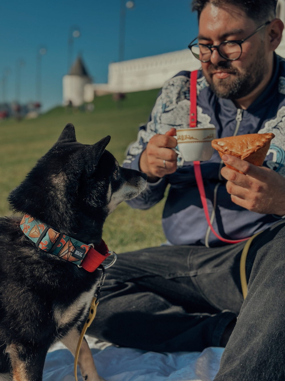 Ошейник Эчпочмак,наличие