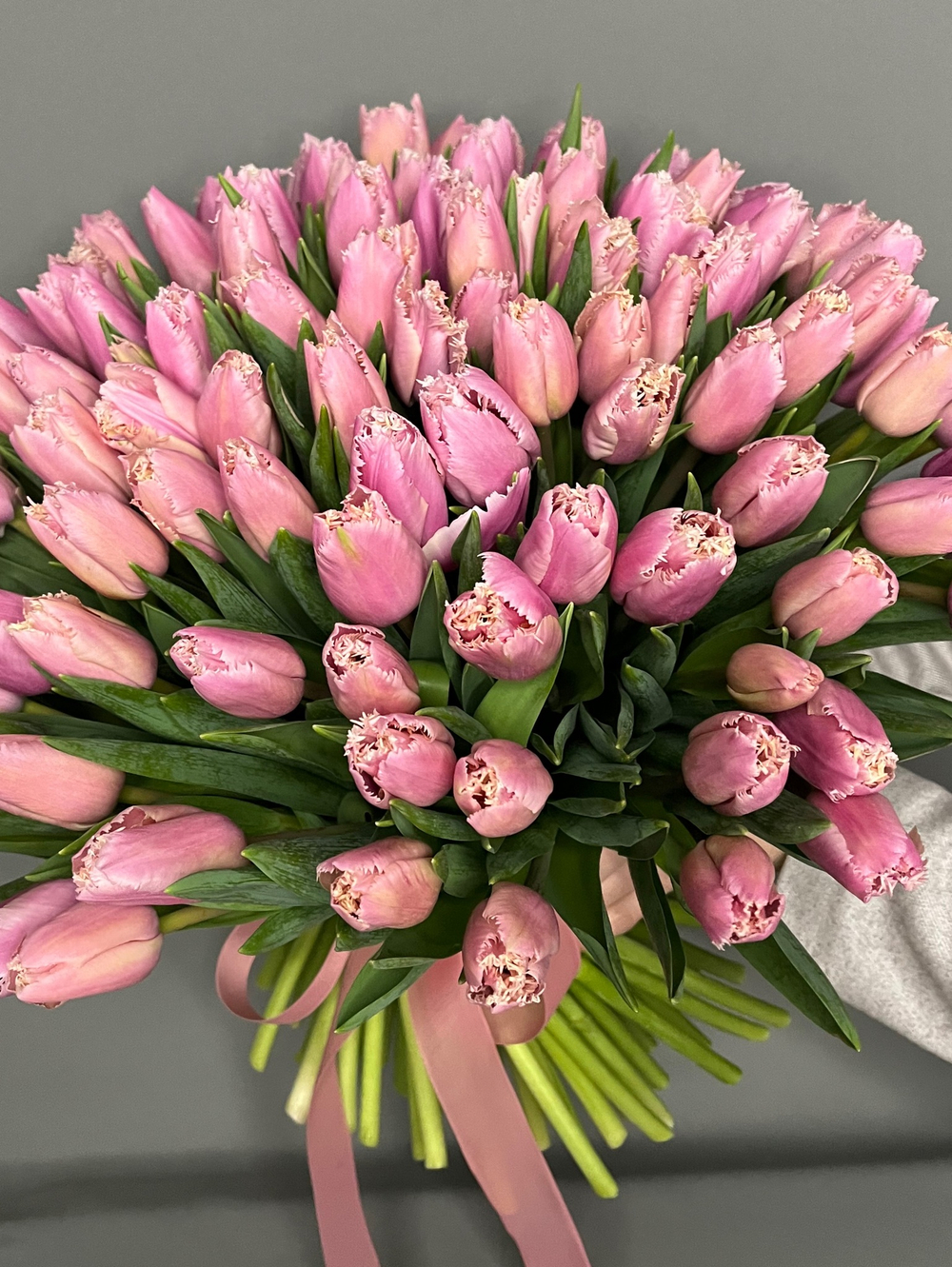 Махровые тюльпаны 55 штук