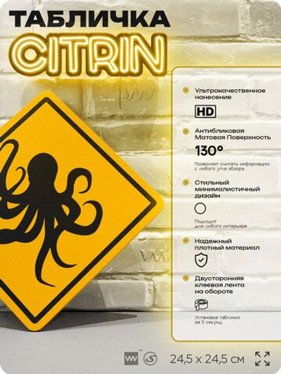 Табличка прикольная "Осторожно, осьминоги (кракен)" на дверь и стену, информационная и предупреждающая, декоративный знак, 24,5х24,5 см, пластиковая, Айдентика Технолоджи