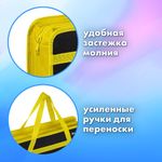 Папка на молнии с ручками BRAUBERG А4, 1 отделение, пластик, 80 мм, "OFF", 271465