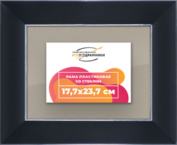 Рамка 17,7x23,7 для постера и фотографий