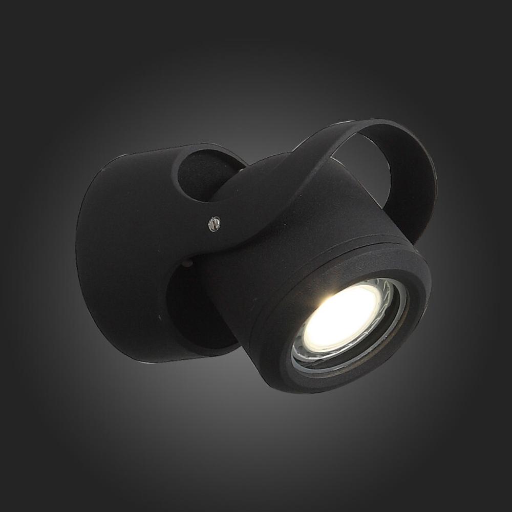 Уличный настенный светильник ST-Luce SL093.401.01