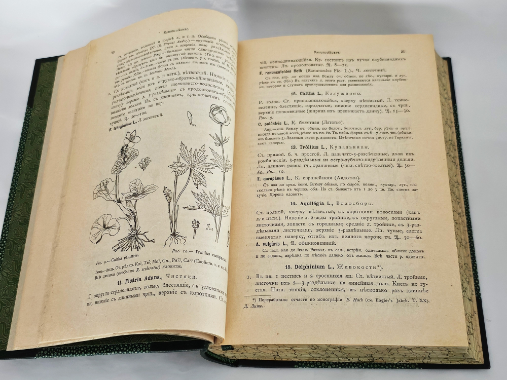 "Флора Средней России. Иллюстрированное руководство к определению среднерусских семенных и сосудистых споровых растений". П.Ф. Маевский, доп. Д.И. Литвиновым. 1917 г.