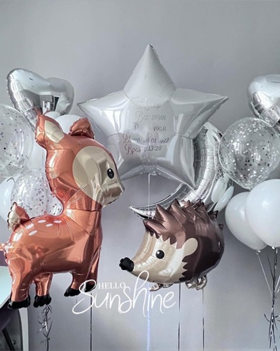 Набор шаров на выписку №48