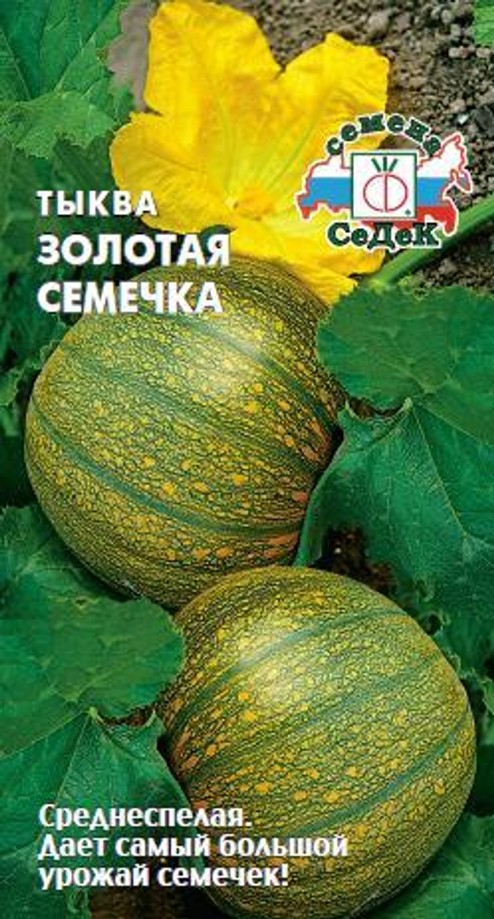 Тыква Золотая семечка 2г Ц СеДеК