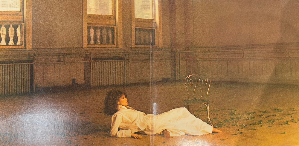 Виниловая пластинка Carly Simon ‎– Boys In The Trees LP