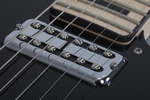 SCHECTER PT FASTBACK BLACK