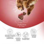 Сухой корм для собак мини пород склонных к аллергии Best Dinner Adult Mini 3кг ягненок с томатами для мелких пород собак