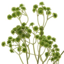 GAEM Цветок искусственный "Гипсофила", L16 W12 H61 см