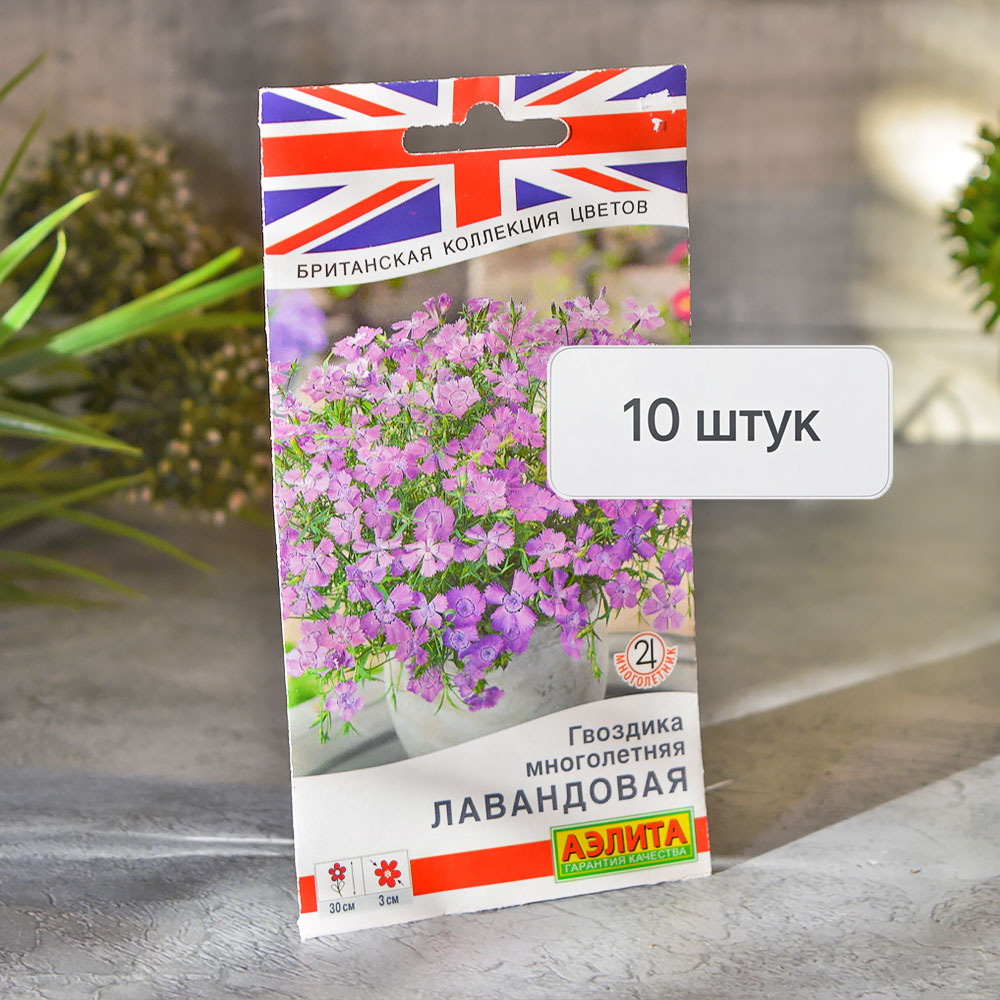 ГВОЗДИКА Лавандовая многолетняя Аэлита Ц (10шт)